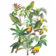 Die Cut Stickers - Acetate Green Parrots - 12 st