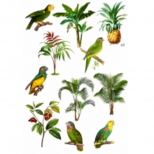 Die Cut Stickers - Acetate Green Parrots - 12 st