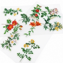 Clear Stickers - Acetate Yellow And Orange Flowers - 10 st