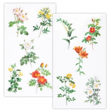 Clear Stickers - Acetate Yellow And Orange Flowers - 10 st