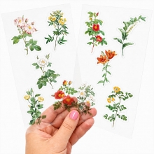 Clear Stickers - Acetate Yellow And Orange Flowers - 10 st