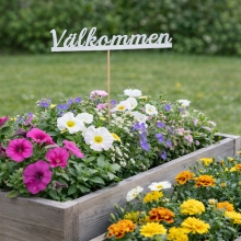 Välkommen Skylt Med Pinne - Vit - 14 x 2,5 cm