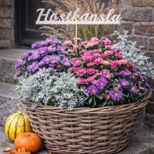 Höstkänsla - Skylt På Pinne - Text Till Blomma