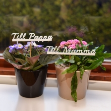 Till Mamma - Skylt På Pinne - Blommor text Blomstertext
