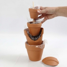 Miniatyr trädgård i kruka DIY Inspiration