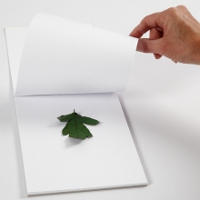 Hjärta med bladtryck DIY Inspiration till scrapbooking, pyssel och hobby