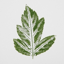 Hjärta med bladtryck DIY Inspiration till scrapbooking, pyssel och hobby