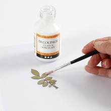 Äkta Pressade Blad Gröna Torkade Naturmaterial