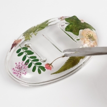Äkta Pressade Blad Gröna Torkade Naturmaterial