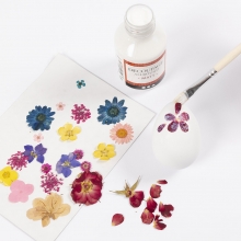 Äkta Pressade Blommor Mixade Färger Torkade Naturmaterial