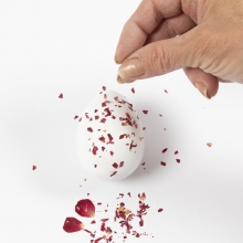 Äkta Pressade Blommor Mixade Färger Torkade Naturmaterial