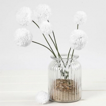 Genomskinlig Vas 6 st - H: 14,5 cm - Dia. 11 cm