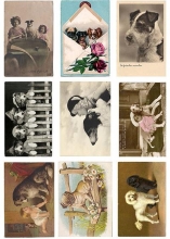 Vintage Foton A4 Reprint Dogs Mönstrade Papper