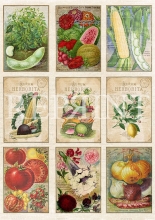 Vintage Foton A4 Reprint - Garden - Veggies