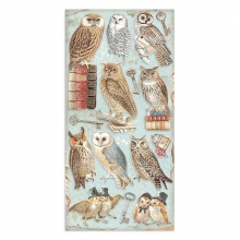 Stamperia Collectables 15x30 cm - Vintage Library - 10 ark