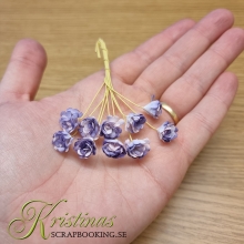 Pappersblommor Chrysanthemum 10 mm Violet st Pappersrosor