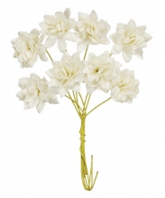 Pappersblommor Chrysanthemum - 20 mm - White - 8 st