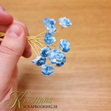 Pappersblommor Chrysanthemum 10 mm White Blue st Pappersrosor