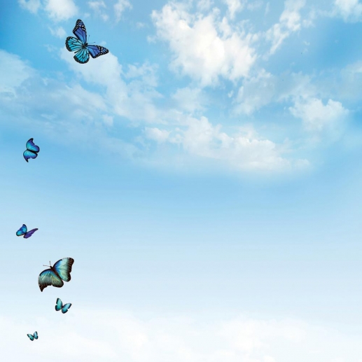 The Butterfly Effect Ella and Viv Papper & Flight Of Butterflies