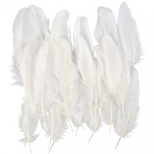 Vita Gåsfjädrar 15 cm 70 st White Vintage Fjädrar