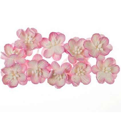 Körsbärsblommor 10 st Scrapberrys Rosa & Vit Dekorationer DIY