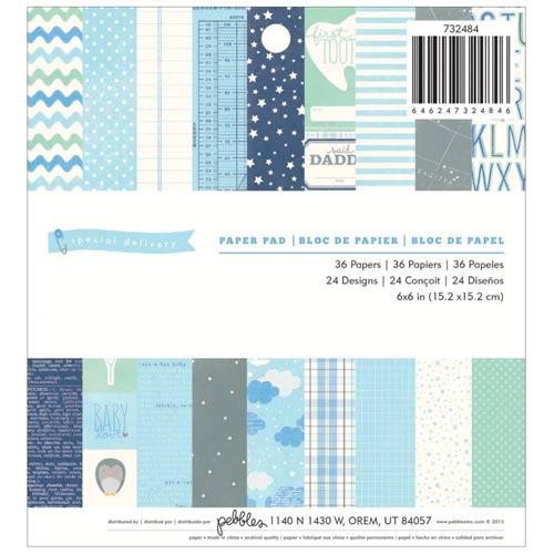 Paper Pad 6”x6” Pebbles- Special Delivery Boy 36 ark Pappersblock 4 8 Tum