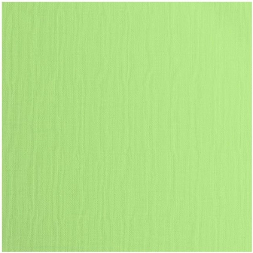 Cardstock Florence Canvas Celery 12