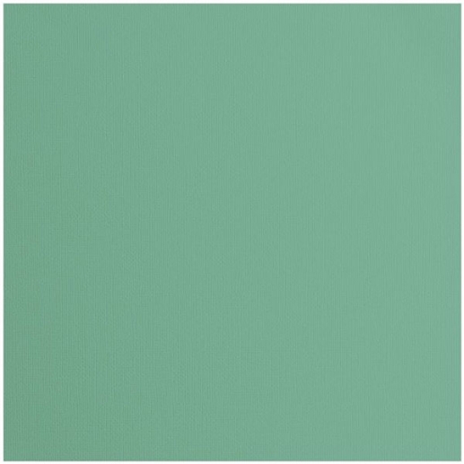 Cardstock Florence Canvas Iguana 12"x12"