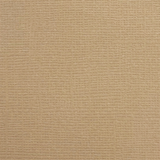 Cardstock - Canvas - Latte