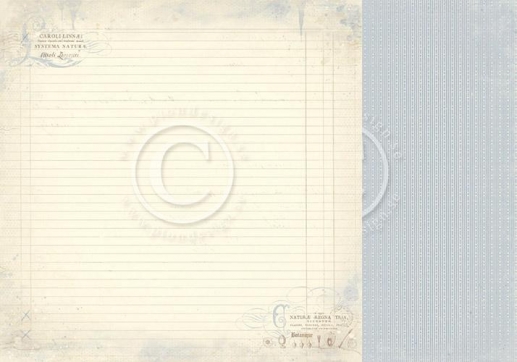 Papper Pion Design Linnaeus Botanical Journal Caroli