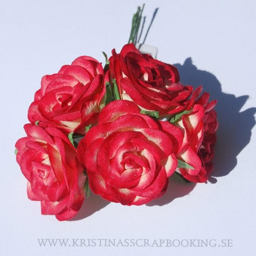 Pappersrosor Swan XL 40mm Cerise/Creme 5 st