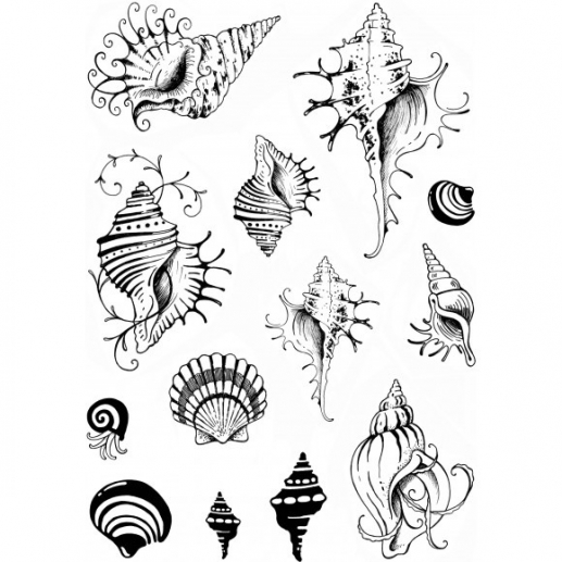 Clearstamps Creative Expressions - Shells