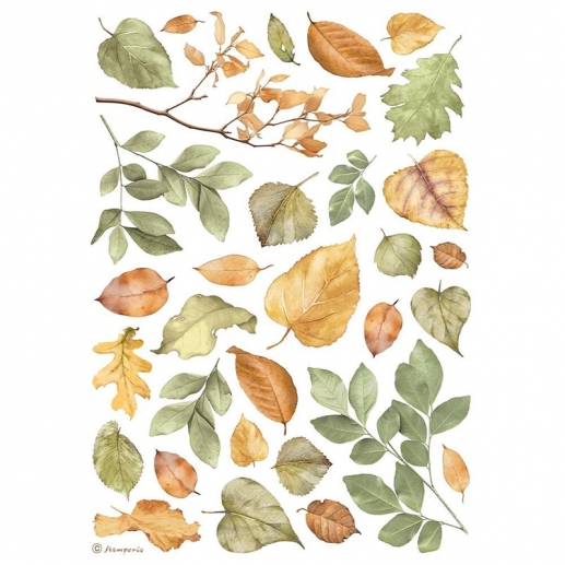Decoupage Papper Stamperia - Forest Leaves