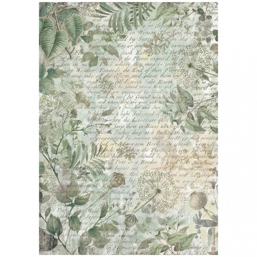 Decoupage Papper Stamperia - Herbarium Silvae