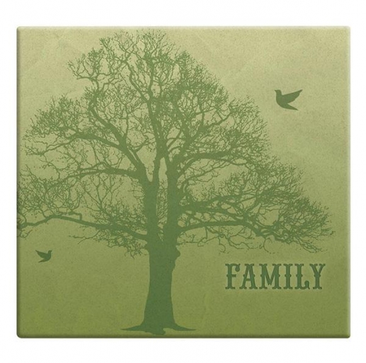 Album 12x12 MBI Family Tree Post Bound Green Postbound 12 Tum