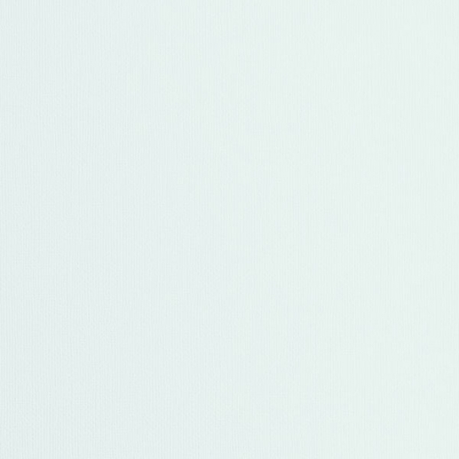 Cardstock Florence Canvas Air 12