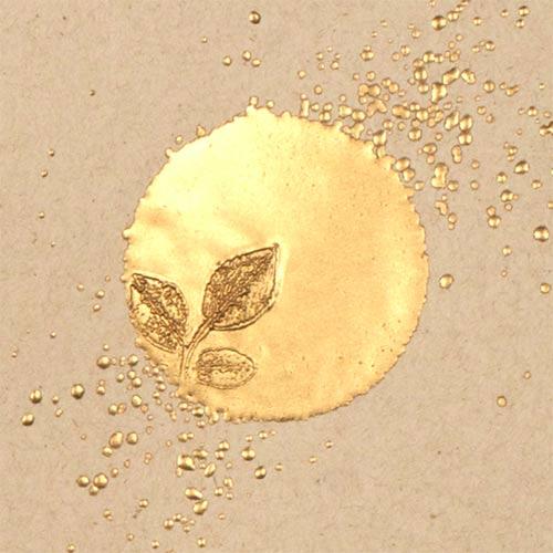 Embossing Enamel Stampendous Chunky Gold Embossingpulver