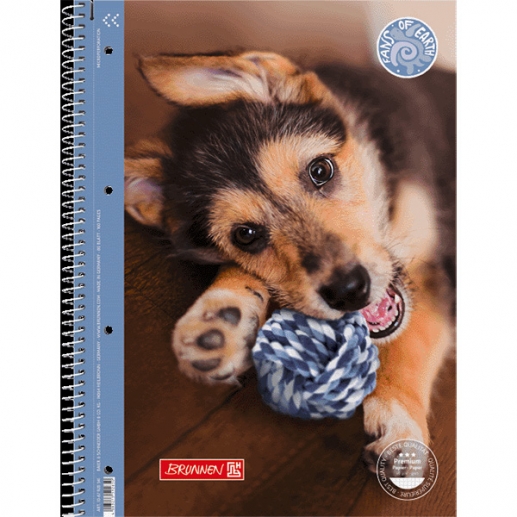 Kollegieblock A4 - Hund - Rutat - 90 g - 80 ark
