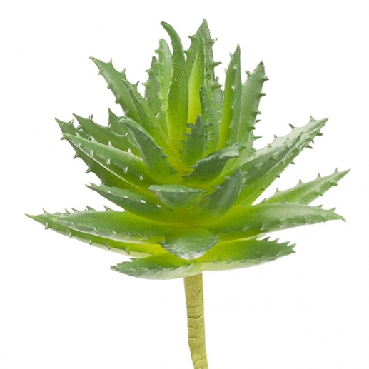 Konstgjord Växt Suckulent - 10 cm - Grön