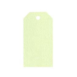 Adresskort 10-pack Papperix Lime Prisetiketter
