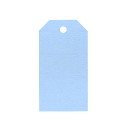 Tag Adresskort 10-pack Papperix Ljusblå Prisetiketter