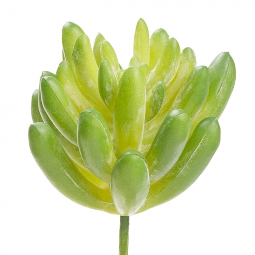 Miniatyr Konstgjord Växt Sedum pachyphyllum 10 cm Grön Träd Växter Miniatyrer