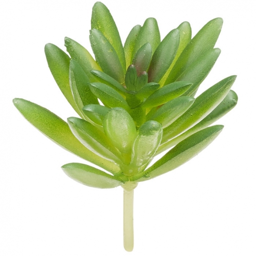 Konstgjord Växt Suckulent Pachyphytum - 8 cm - Grön
