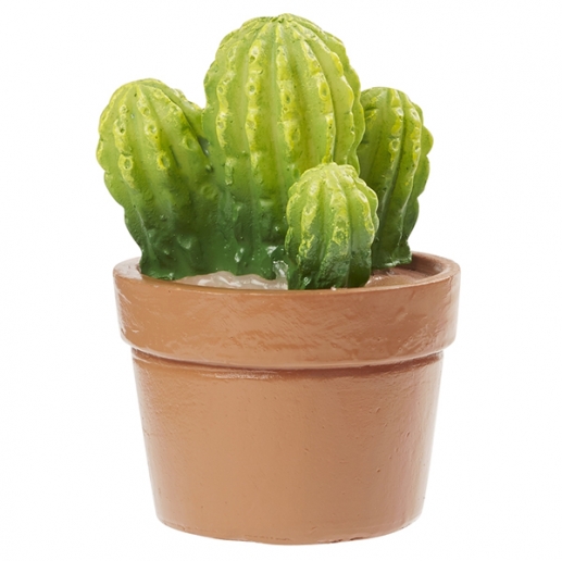 Miniatyr Växt Kaktus i Kruka 5,5 cm Träd Växter Miniatyrer
