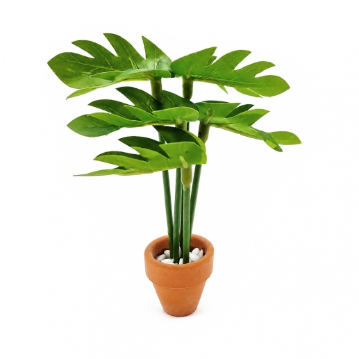 Miniatyr Växt Monstera i terrakottakruka 9 cm
