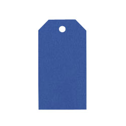 Tag Adresskort 10-pack Papperix Klarblå Prisetiketter