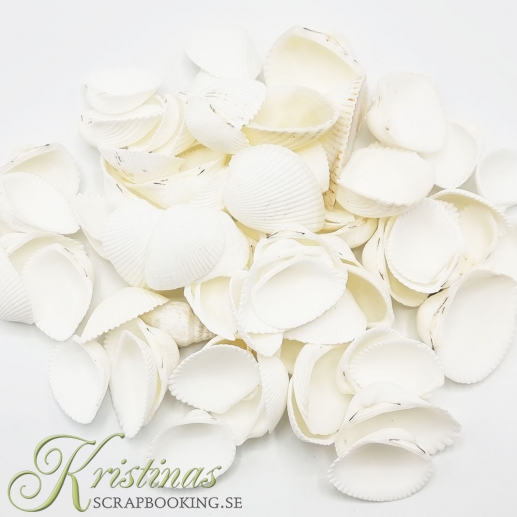 Snäckor i påse Sea Shell White 250 gr till scrapbooking, pyssel och hobby