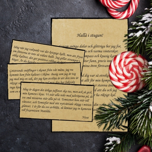 Nissebus Nissebrev fram till jul Volym 2 Nissedörr