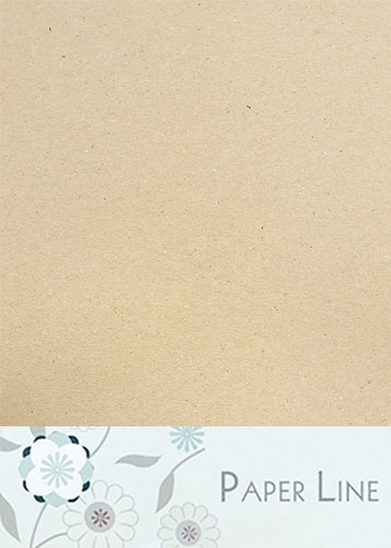 Paper Line A4 Papper 220g - 21 x 29,7 - Kvist - 10 st