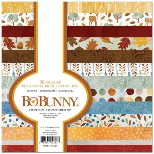 Paper Pack BoBunny 6x6 - Beautifully Brisk